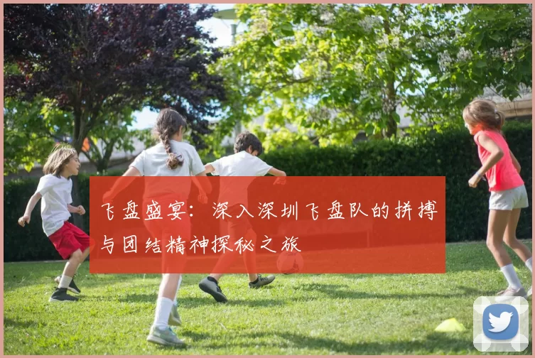 飞盘盛宴：深入深圳飞盘队的拼搏与团结精神探秘之旅