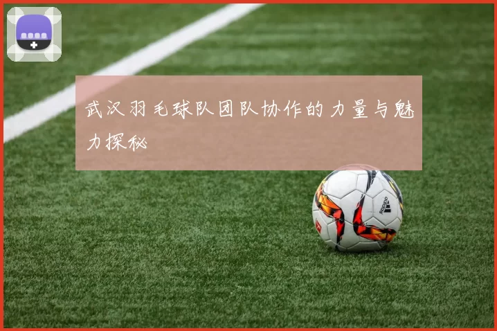 武汉羽毛球队团队协作的力量与魅力探秘