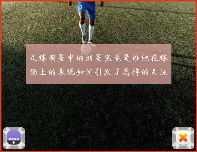 足球明星中的刘星究竟是谁他在球场上的表现如何引发了怎样的关注与讨论
