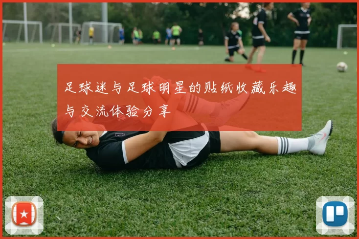 足球迷与足球明星的贴纸收藏乐趣与交流体验分享