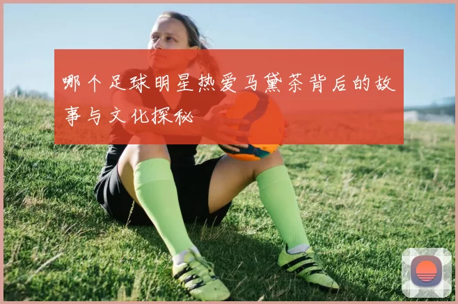 哪个足球明星热爱马黛茶背后的故事与文化探秘