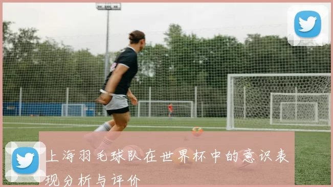 上海羽毛球队在世界杯中的意识表现分析与评价