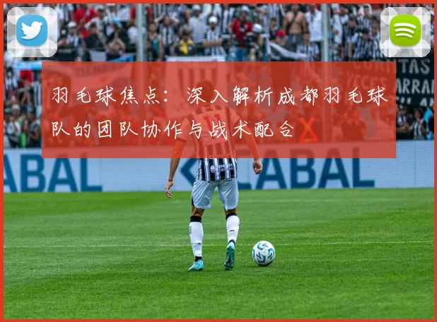 羽毛球焦点：深入解析成都羽毛球队的团队协作与战术配合