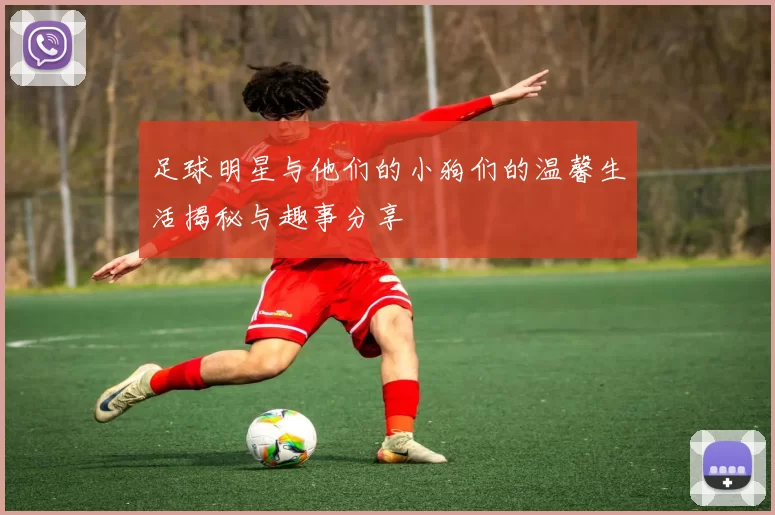 足球明星与他们的小狗们的温馨生活揭秘与趣事分享