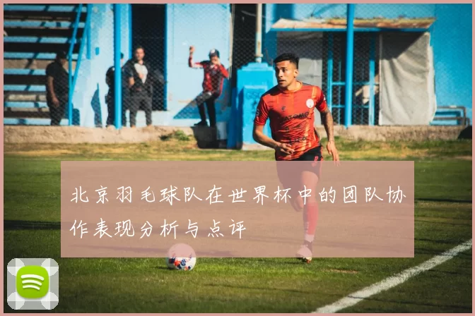 北京羽毛球队在世界杯中的团队协作表现分析与点评