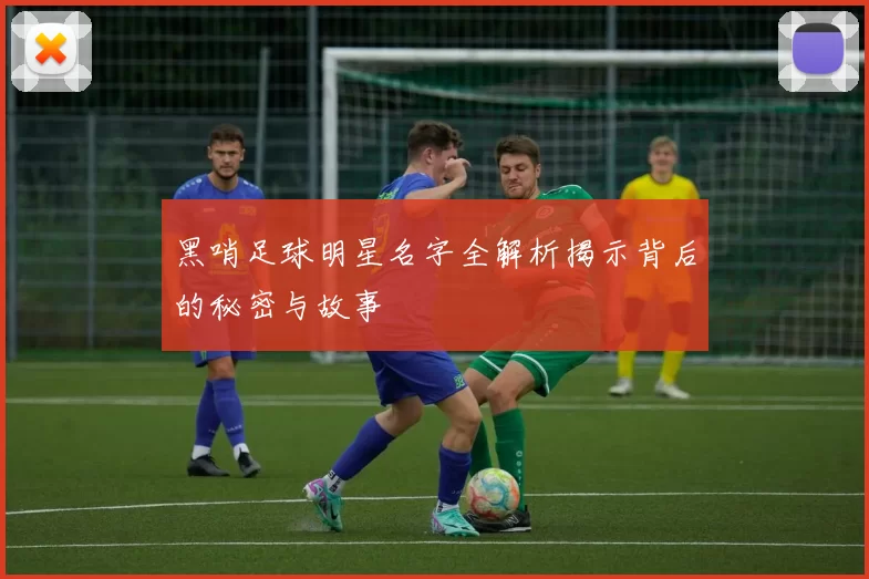黑哨足球明星名字全解析揭示背后的秘密与故事