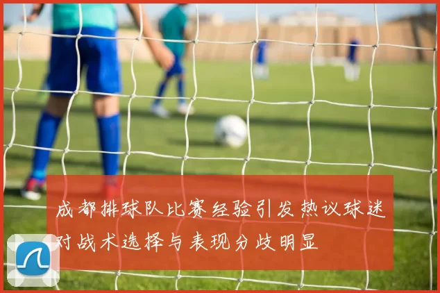 成都排球队比赛经验引发热议球迷对战术选择与表现分歧明显