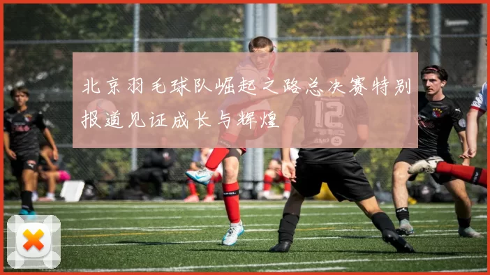 北京羽毛球队崛起之路总决赛特别报道见证成长与辉煌