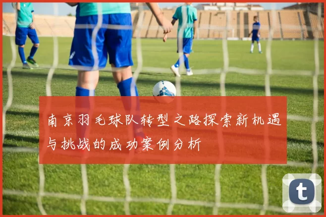 南京羽毛球队转型之路探索新机遇与挑战的成功案例分析