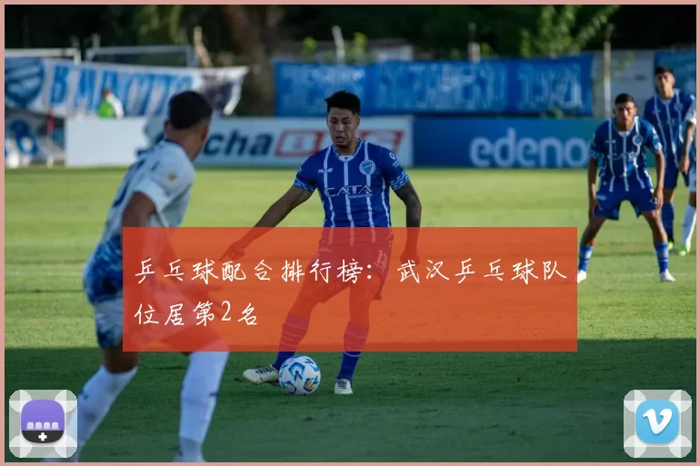 乒乓球配合排行榜：武汉乒乓球队位居第2名