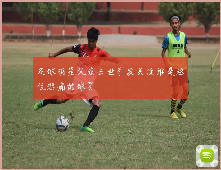 足球明星父亲去世引发关注谁是这位悲痛的球员
