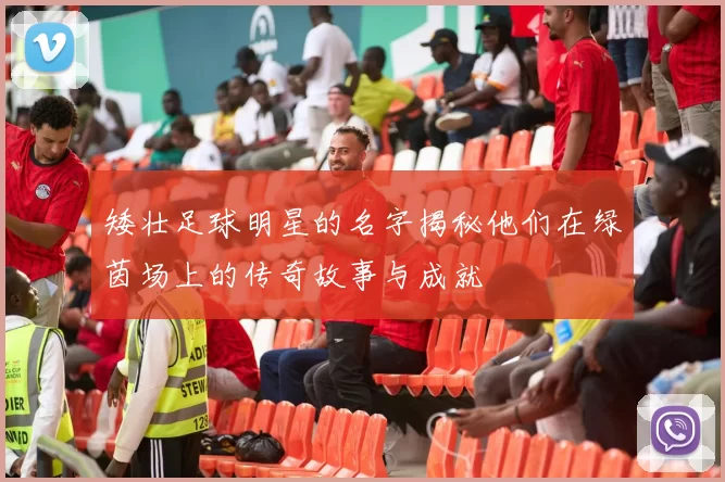 矮壮足球明星的名字揭秘他们在绿茵场上的传奇故事与成就
