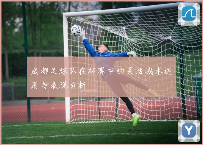 成都足球队在杯赛中的灵活战术运用与表现分析