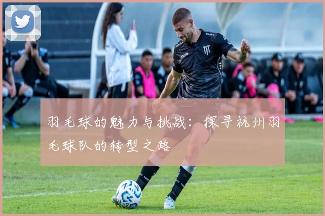 羽毛球的魅力与挑战：探寻杭州羽毛球队的转型之路