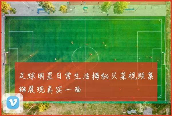 足球明星日常生活揭秘买菜视频集锦展现真实一面