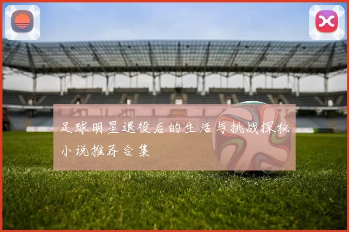 足球明星退役后的生活与挑战探秘小说推荐合集