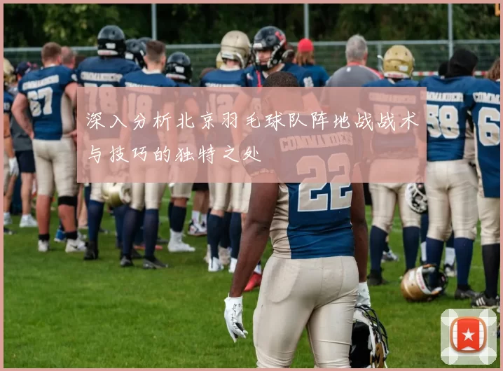 深入分析北京羽毛球队阵地战战术与技巧的独特之处