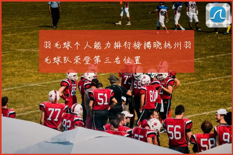 羽毛球个人能力排行榜揭晓杭州羽毛球队荣登第三名位置